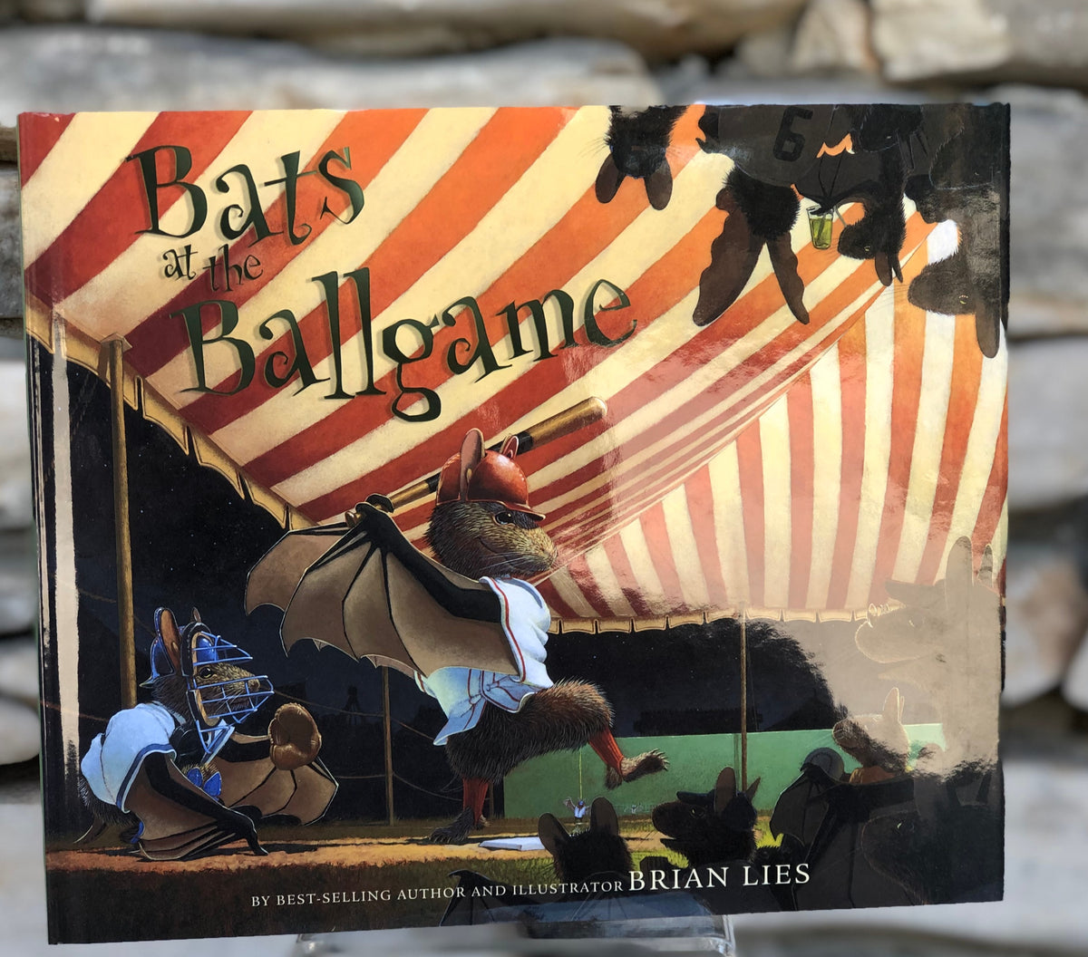 Bats at the Ballgame Natural Bridge Caverns