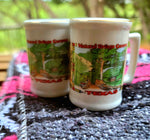 Natural Bridge Salt & Pepper Shaker Set