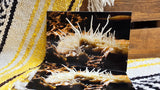 Natural Bridge Post Card Assorted