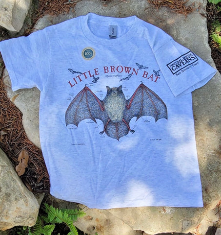 Tee Youth Little Brown Bat