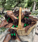 Green Ribbon Bats Plush-Kerr County Flood Relief Fundraiser