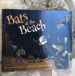 Bats at the Beach